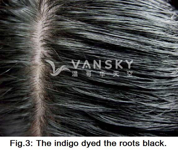 230228154528_Hair-Dyed with indigo.jpg